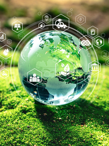 Environmental Services